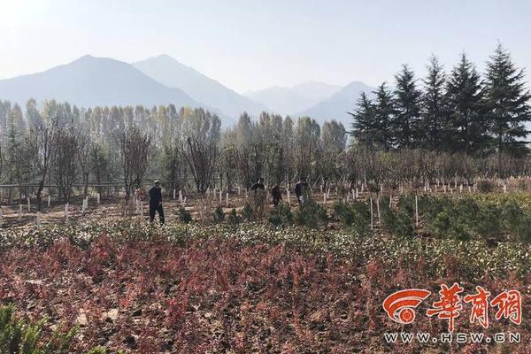 返还文物归国路为何走了12年_9929商家推荐