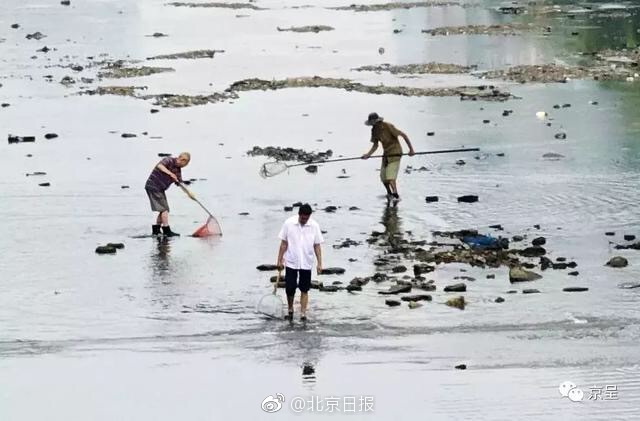 成都男性投入家务时间超女性_9929路由追踪