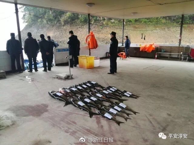 苹果售后管控能力与高售价不符
