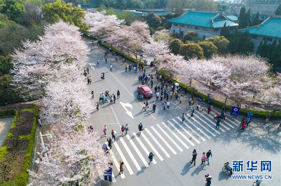 暗恋七年却以尴尬身份嫁他_2026年CN2服务器推荐