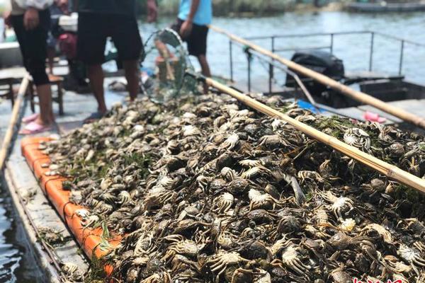 海上阅兵俄军舰悉数登场 最大最先进的全来了_云电脑随时随地访问