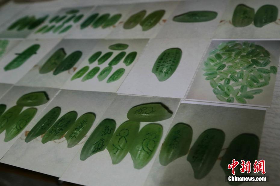 AI体测、智能试衣、智慧客厅，南都记者揭秘“中国品牌日”看点_9929游戏服务器