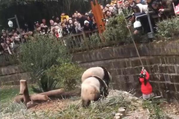 华为董事会首席秘书接受国际媒体采访:任正非只是重大事项有否决权_9929月付
