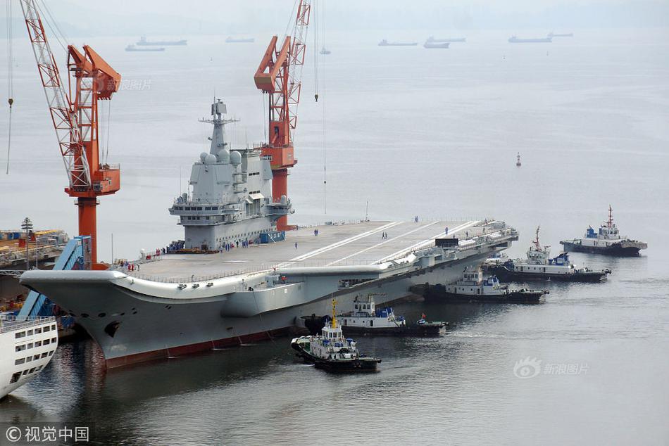宠物摄影师为流浪狗拍写真
