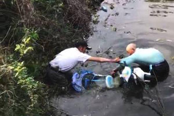七旬夫妻养猪开垦撂荒地种30亩丹参,守着大山也要把日子过红火_挂机宝抢购脚本
