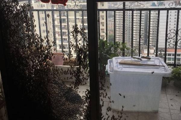 宋慧乔频繁亮相狂捞金？现身上海捐雕像，半个月上三次热搜