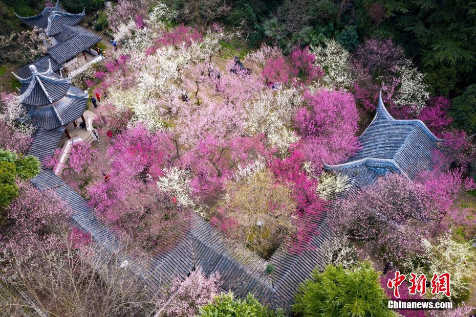 马蓉谈离婚:事后王宝强说还爱我_挂机宝采集