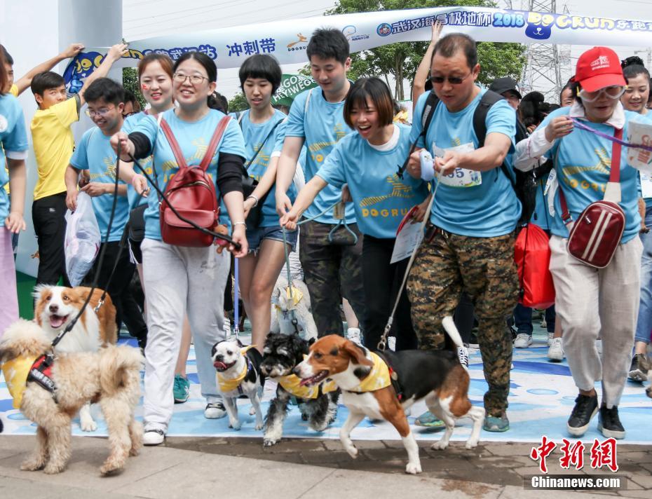 栾叔塔罗牌占卜:你的另一半够爱你吗?_挂机宝抢购脚本
