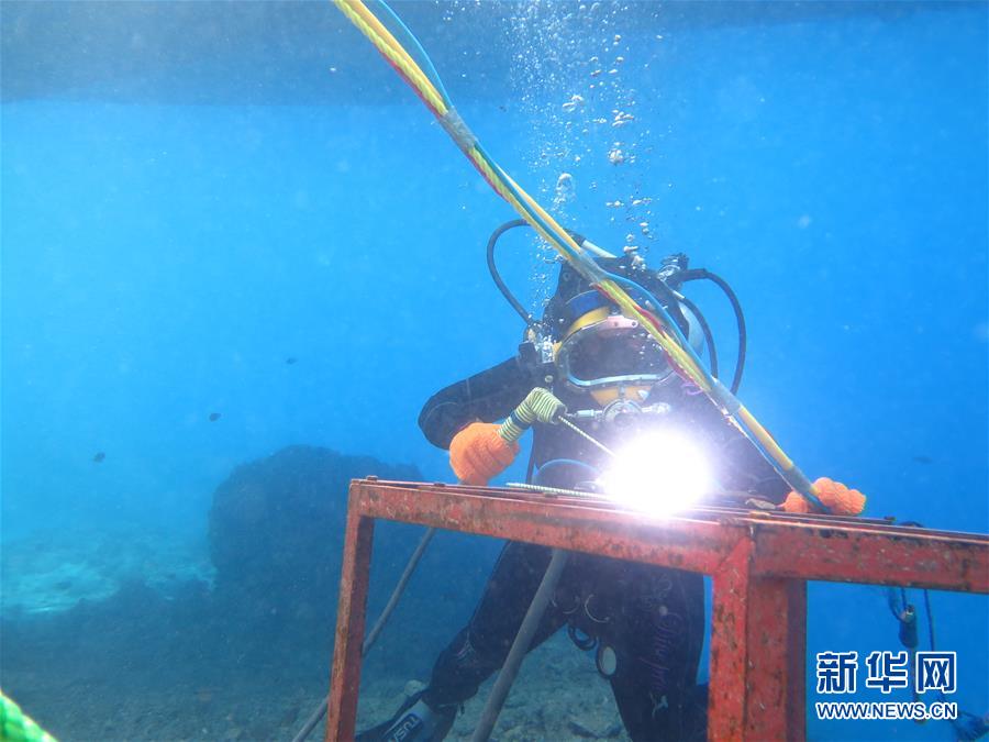 美航借道南航入华 航空联盟格局生变_迷你哆云挂机宝