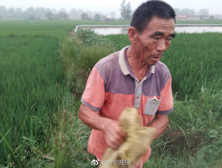 无人机视角看地球 我们的世界如此美丽多姿_云服务器问题