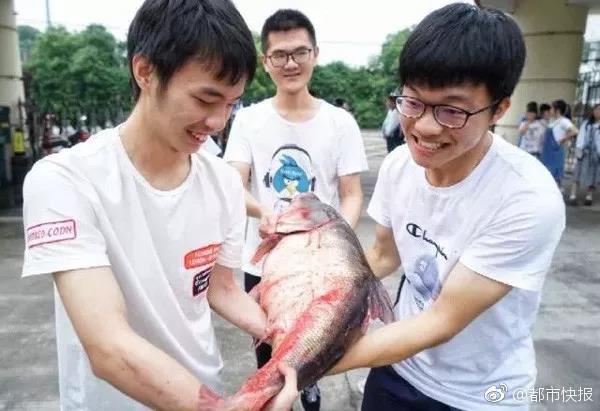 中国拒收后美将大量垃圾运这国 被送一句话_腾讯云服务器