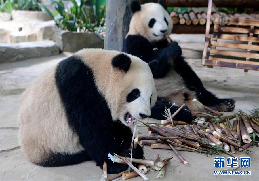 职场菜鸟的时髦经,你值得拥有_挂机宝性能