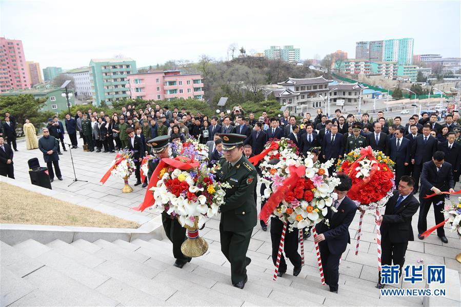 北极熊宝宝跌落冰崖 熊妈攀爬寻子_CN2服务器免费试用