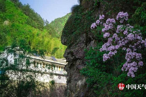 全新一汽丰田RAV4前景分析_云电脑带宽要求