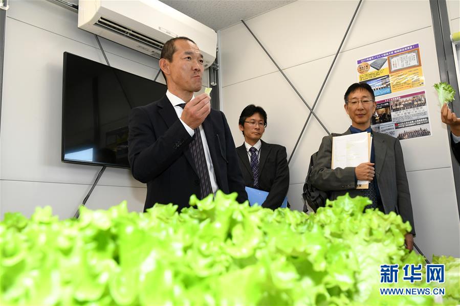 男子因毒驾被注销驾照 仍开车3年236次违法未处理_9929移动用户
