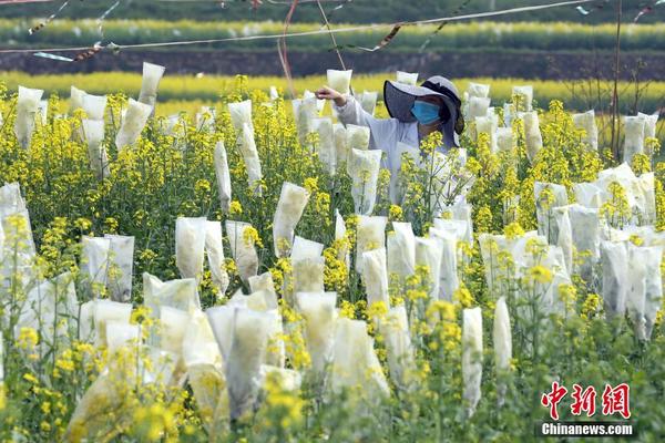 盘点北京排队去吃的川菜馆子！10碗米饭都挡不住！_挂机宝机器人