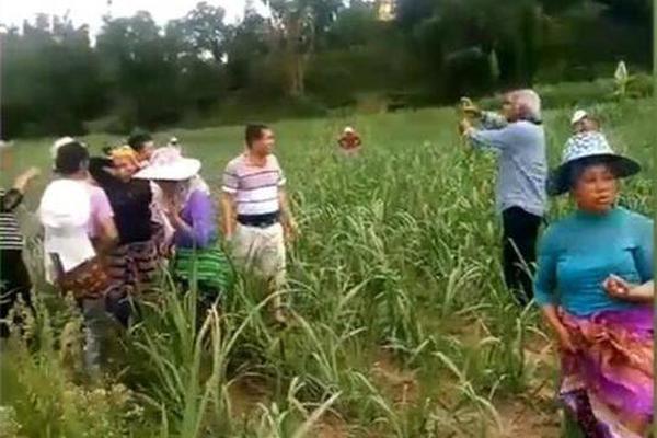 陌陌7.71亿美元收购的探探因违规遭下架 探探回应未披露上架时间